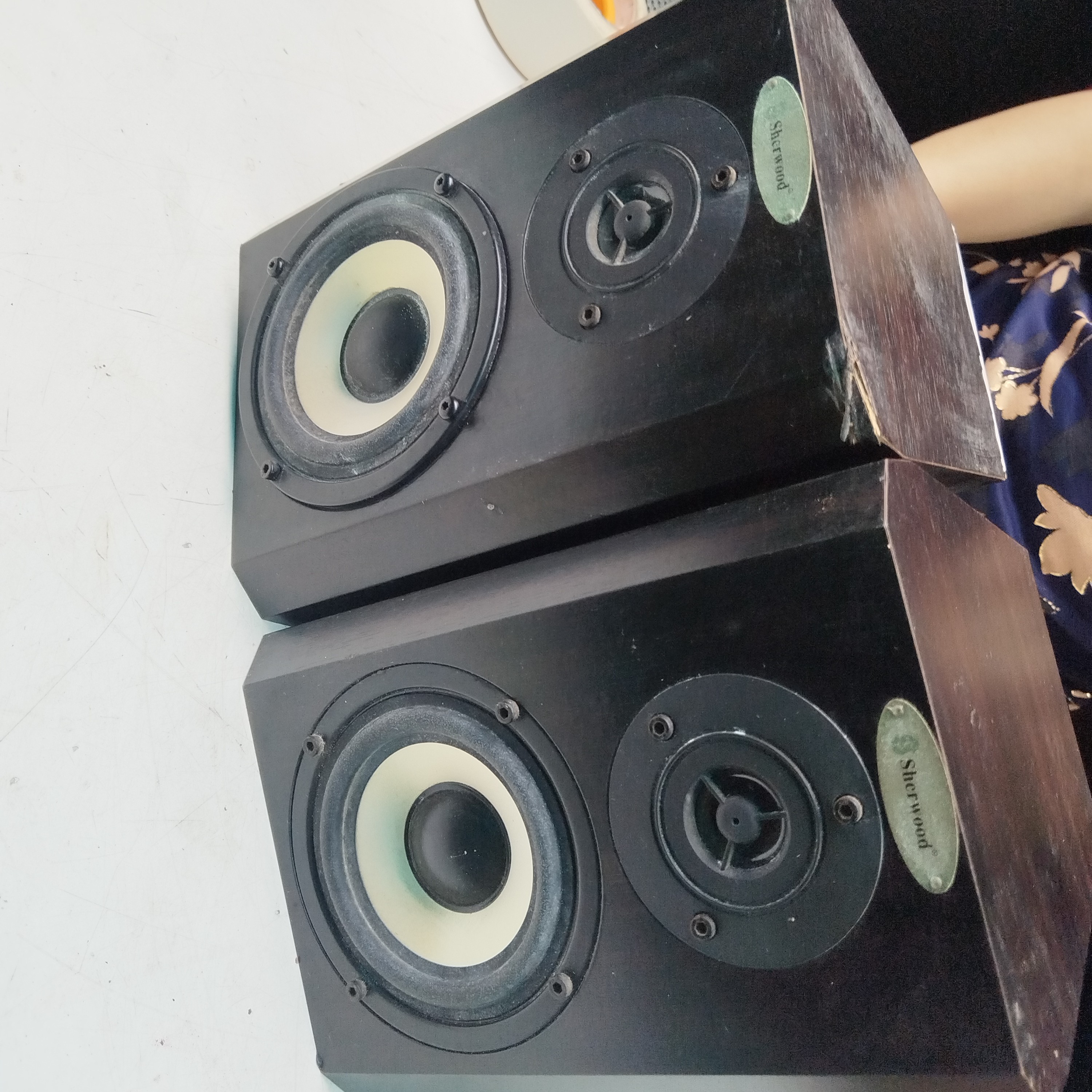 8新  狮龙小音箱一对，不包邮费，不支持七天无理由退货