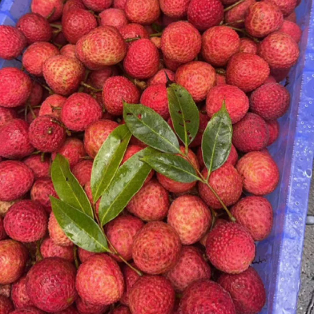 正宗白蜡荔枝10元钱一盒（2斤装）广东省