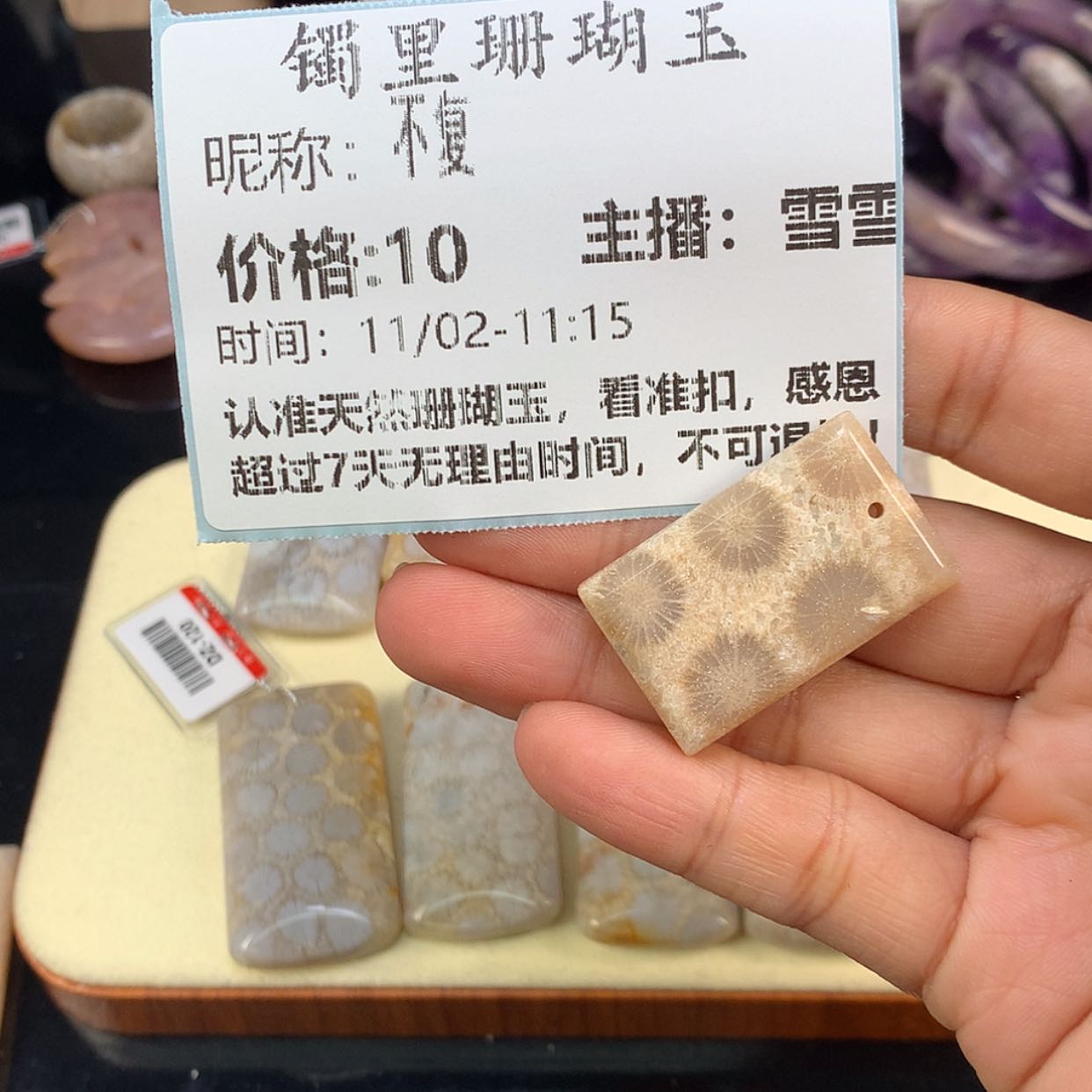 【闪购商品】颈饰未镶嵌硅化珊瑚（珊瑚玉）不*