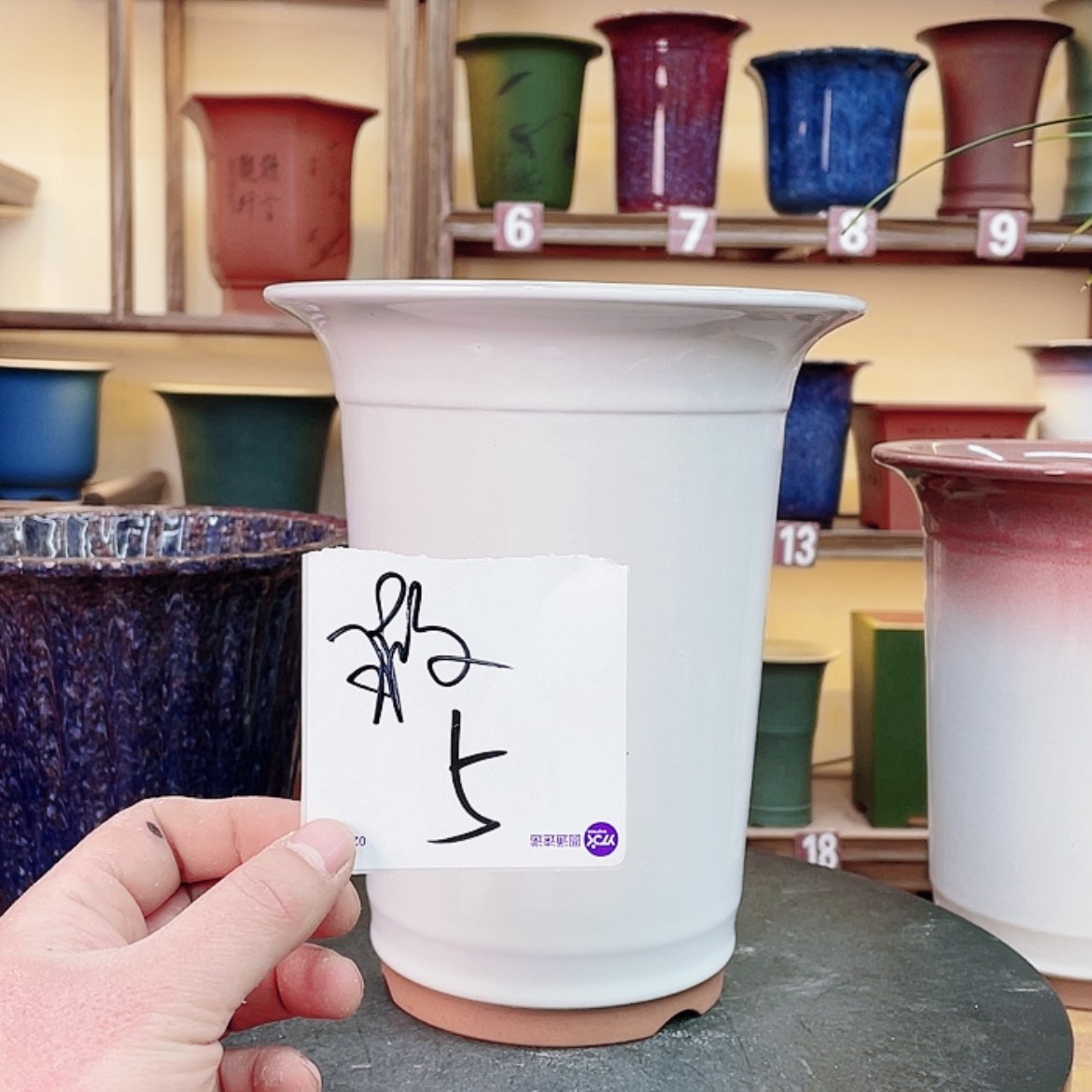 【闪购商品】紫砂花盆江***e兰花636645454649494887