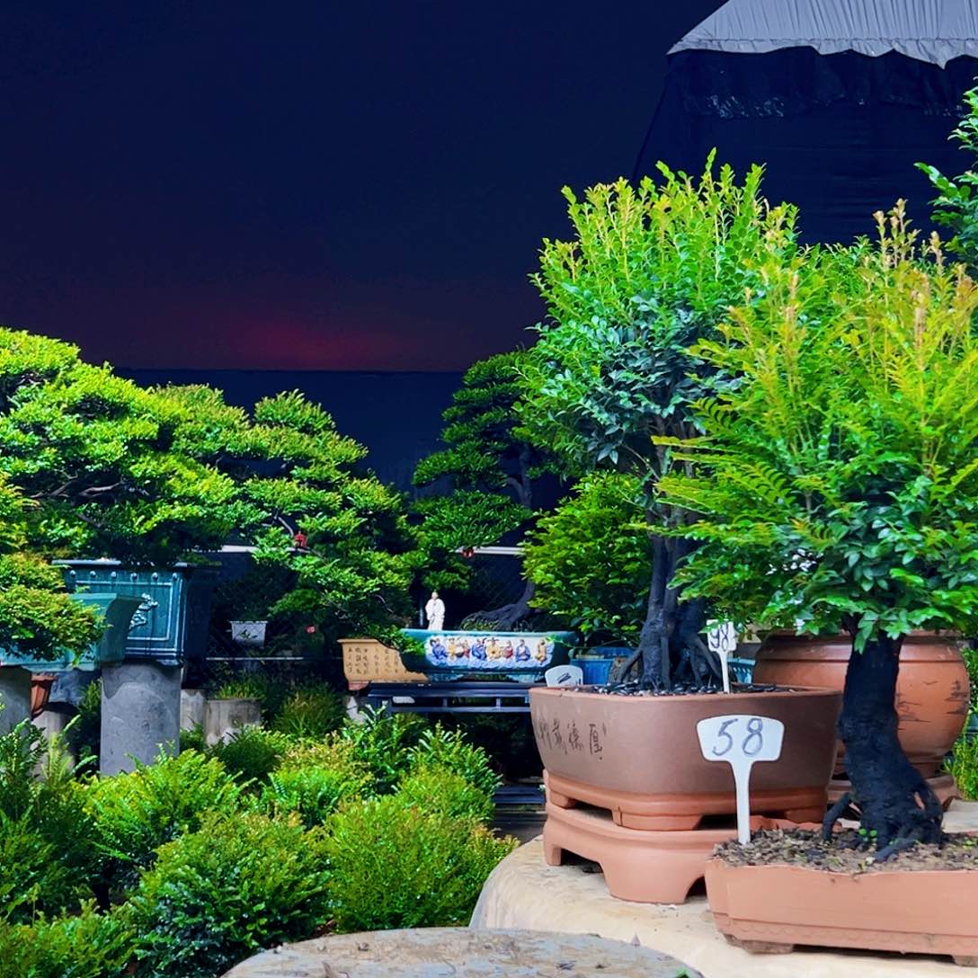 以实际为准小*哥12345678