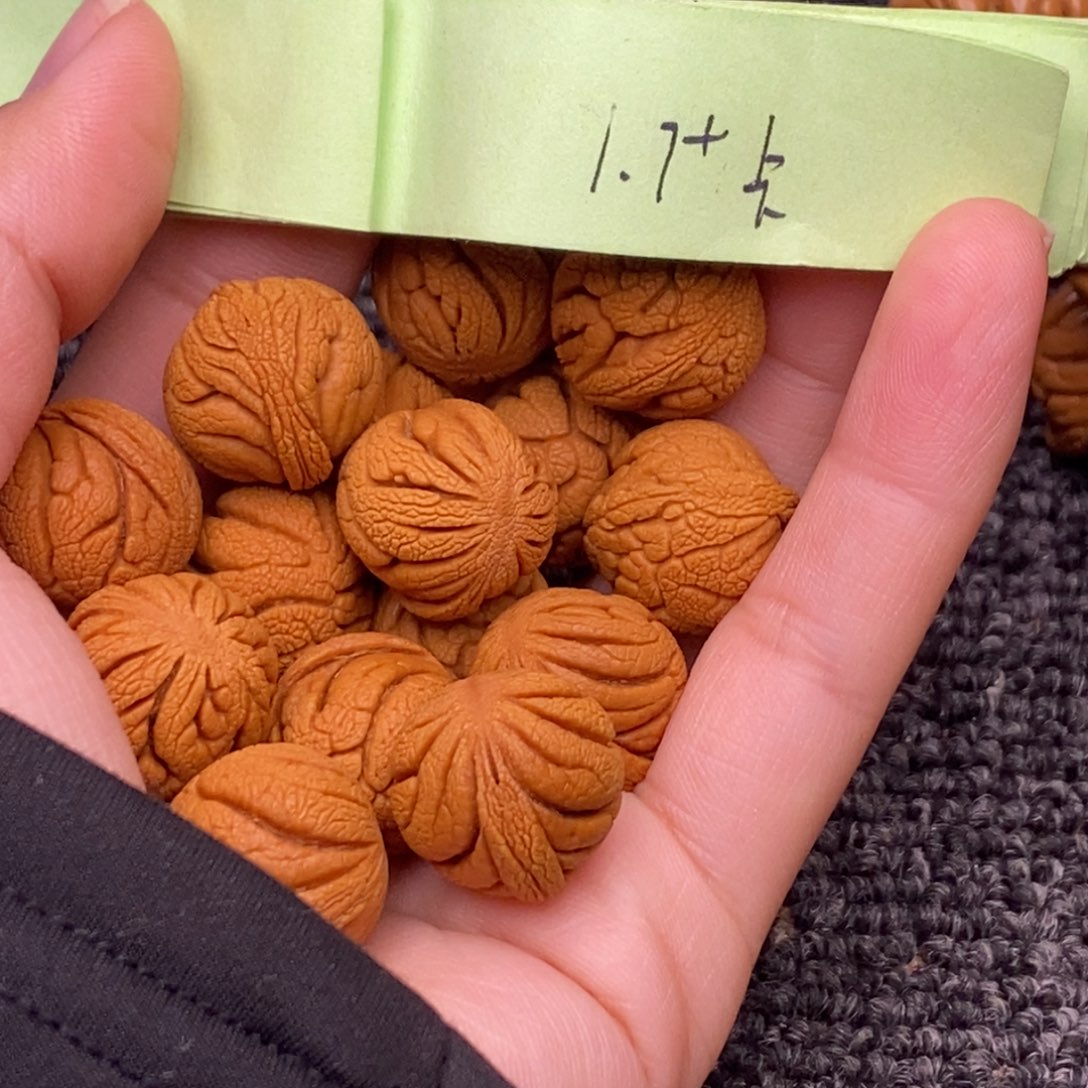 秦岭山脉龙纹桃核 15