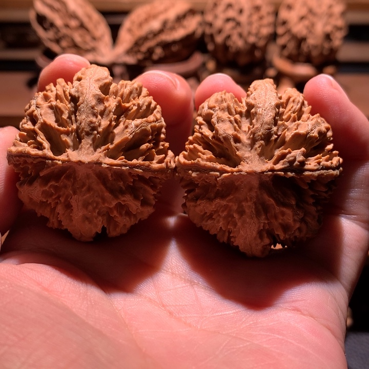 文玩核桃吊坠楸玥核10