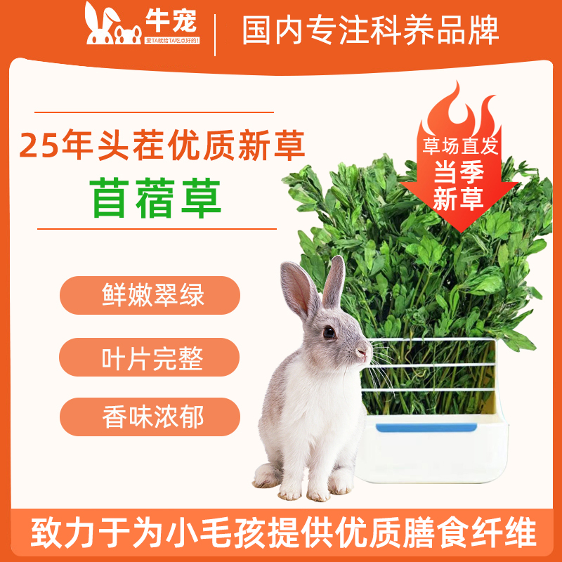 牛宠25年苜蓿兔子苜蓿草干草荷兰猪粮食饲料苜蓿草紫花苜蓿草磨牙