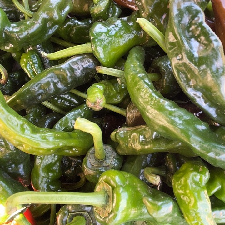 中国大陆农家本地薄皮皱皮辣椒两斤