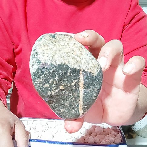 小荷叶。天然原石。靠山石