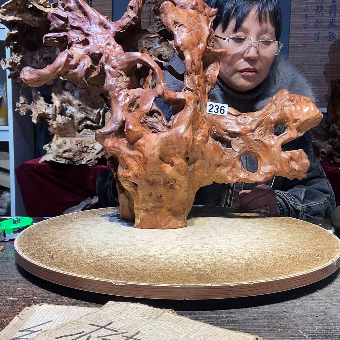 老***）236。杜鹃根摆件随行根艺