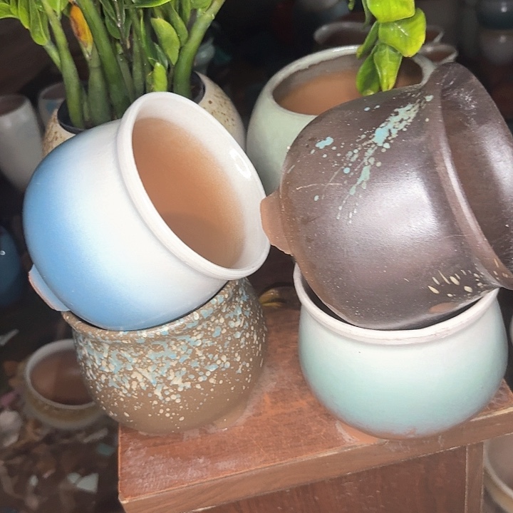 微瑕花盆啦来啦啦