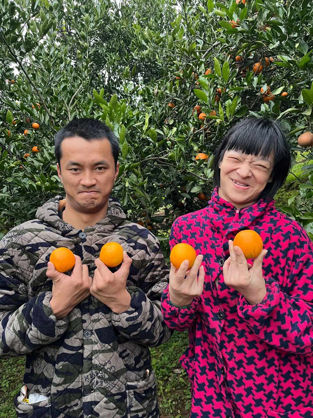 （大姐和弟弟家）正宗湖南麻阳冰糖橙一级果 精选30年以上老树橙子 
