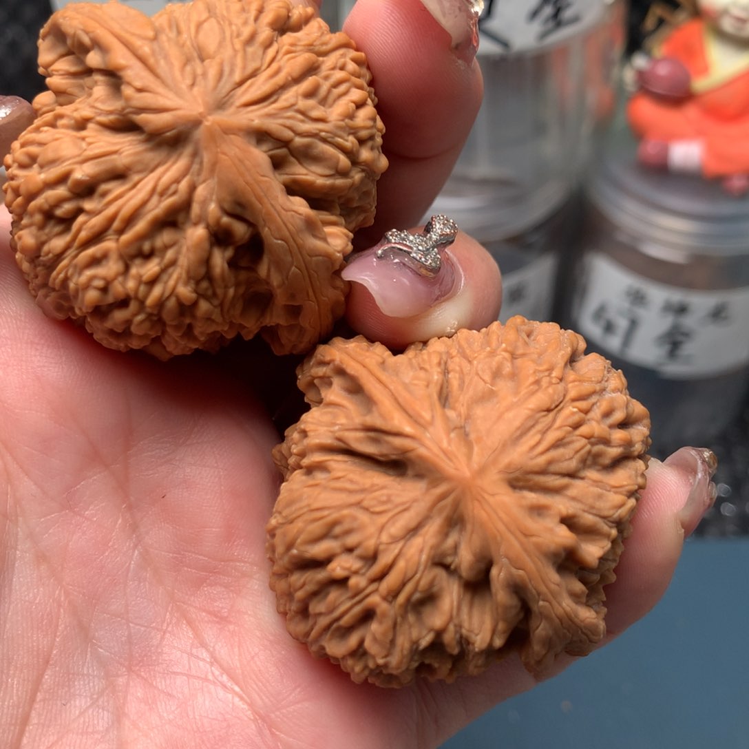 文玩核桃把件一****葵44-15345-1