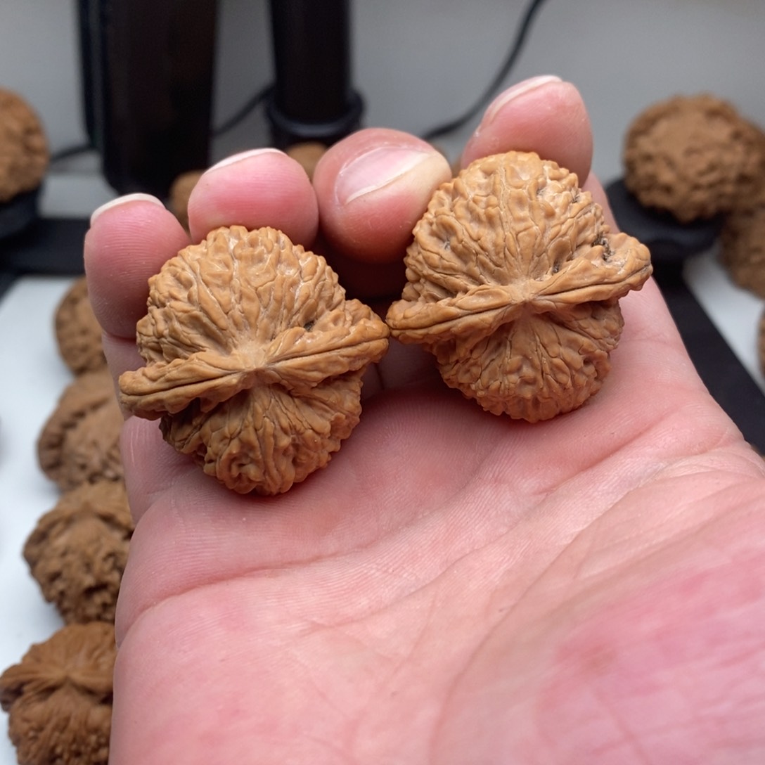 文玩核桃吊坠白狮子38+