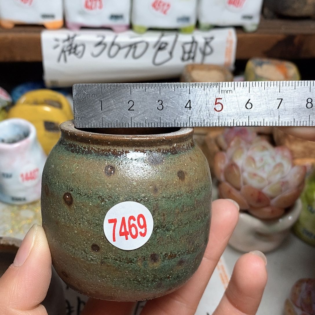 红陶拍5送一个小