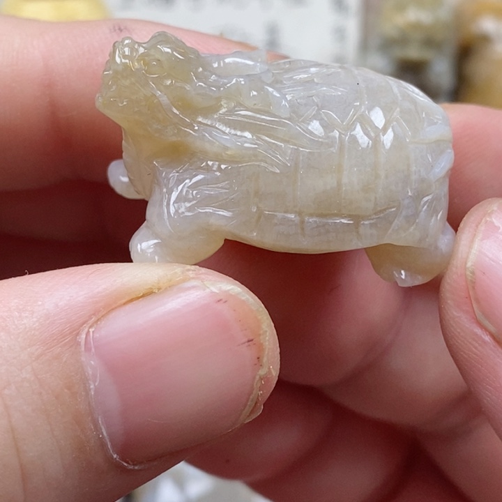 颈饰未镶嵌硅化珊瑚（珊瑚玉）
