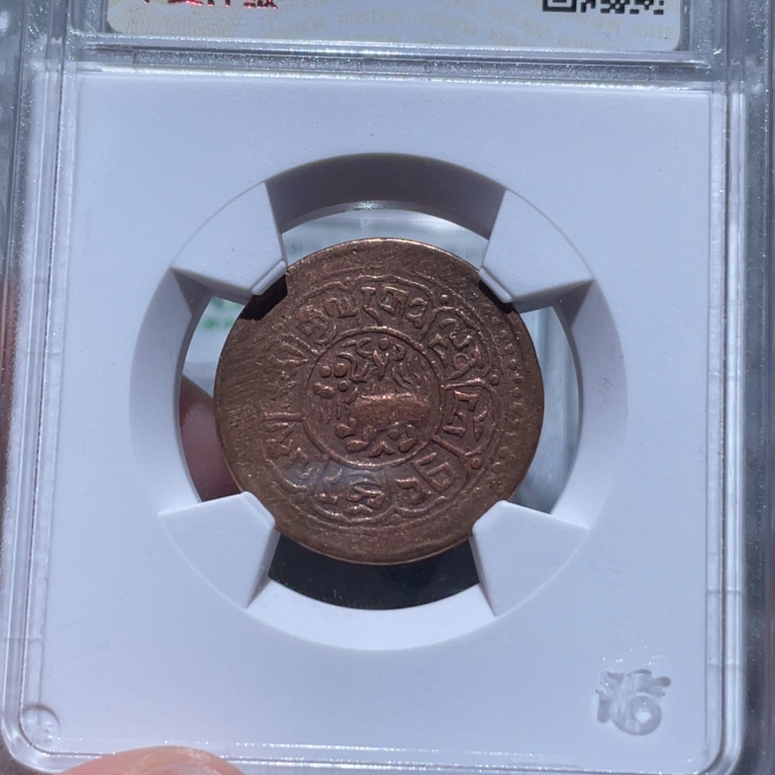 金属通古博今姚姚2592