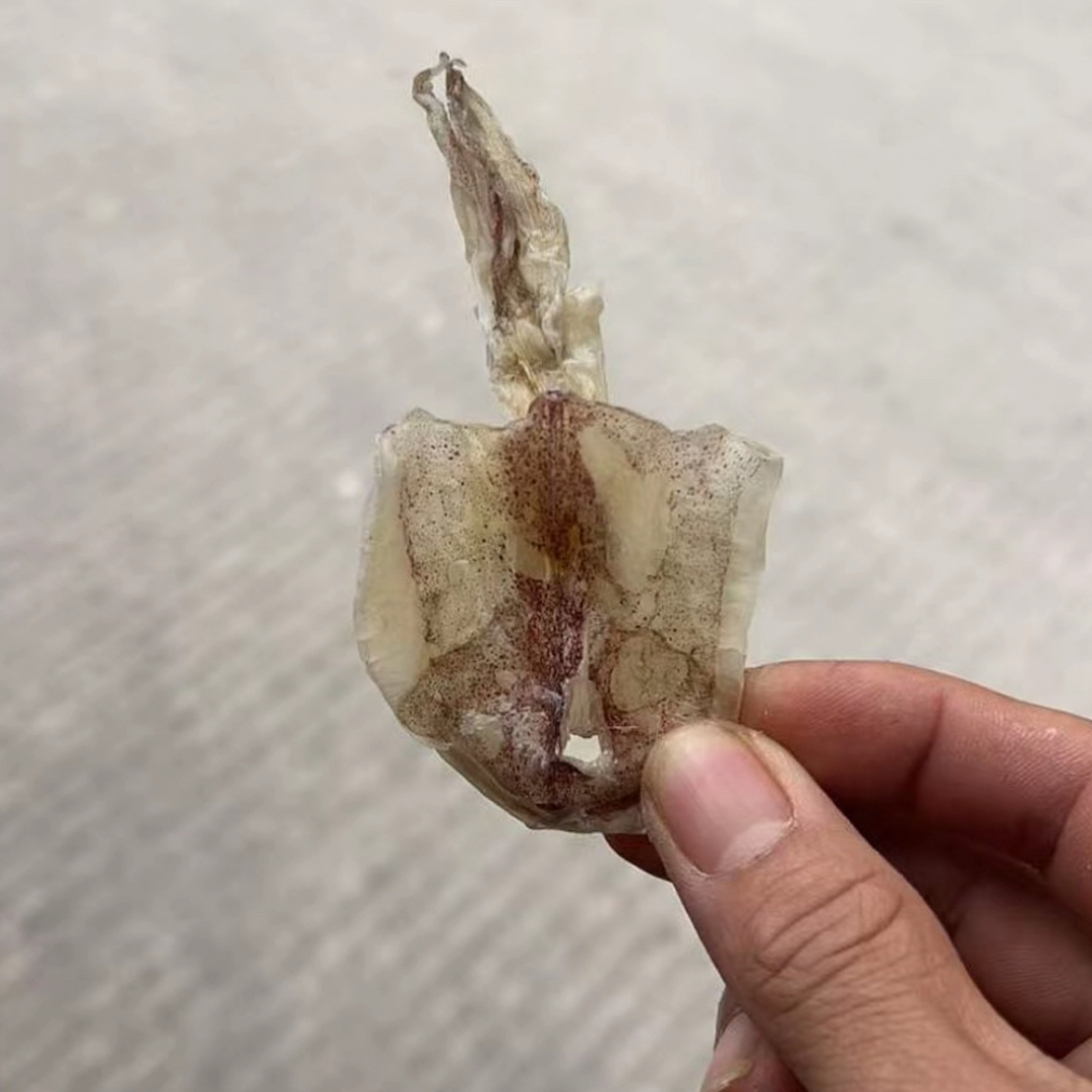 汕尾本港小鱿鱼干，就船日晒淡干美味新鲜。