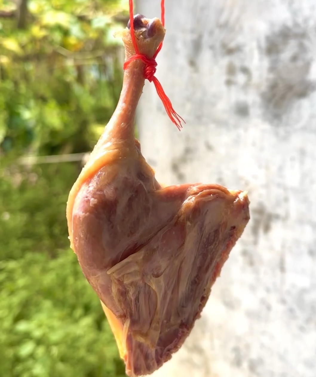 广宁潭布农家腊鸭腿 无添加