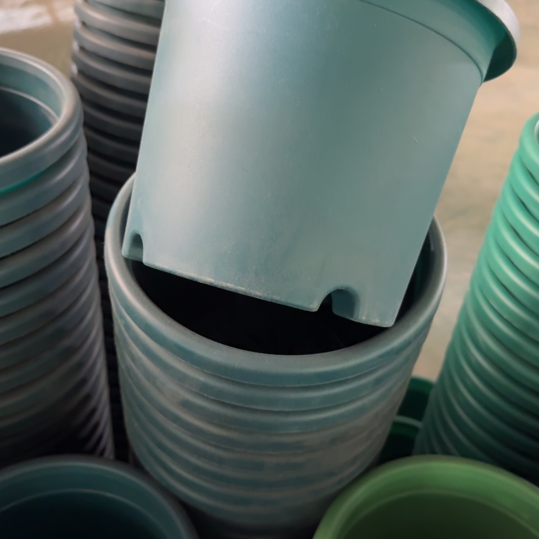 特价3号无拖军绿10个