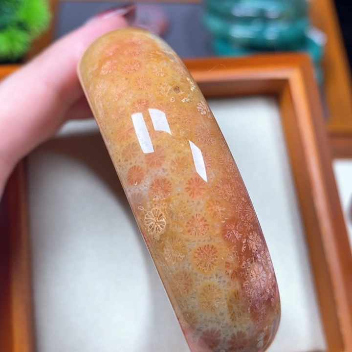 硅化珊瑚（珊瑚玉）手镯未镶嵌59