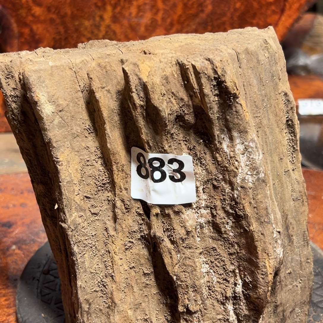 *****大果紫檀（缅甸花梨）