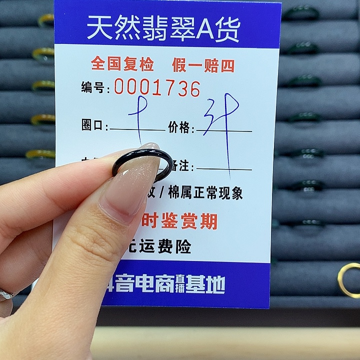 翡翠戒指未镶嵌      1736