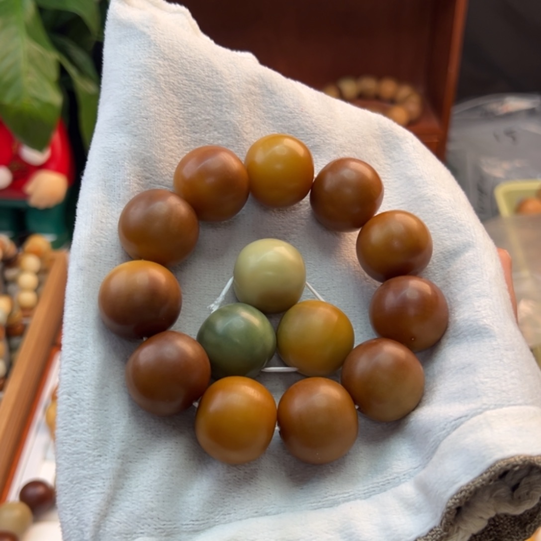 菩提根/象牙果手串青*-卡24瑕疵福利价不退不换