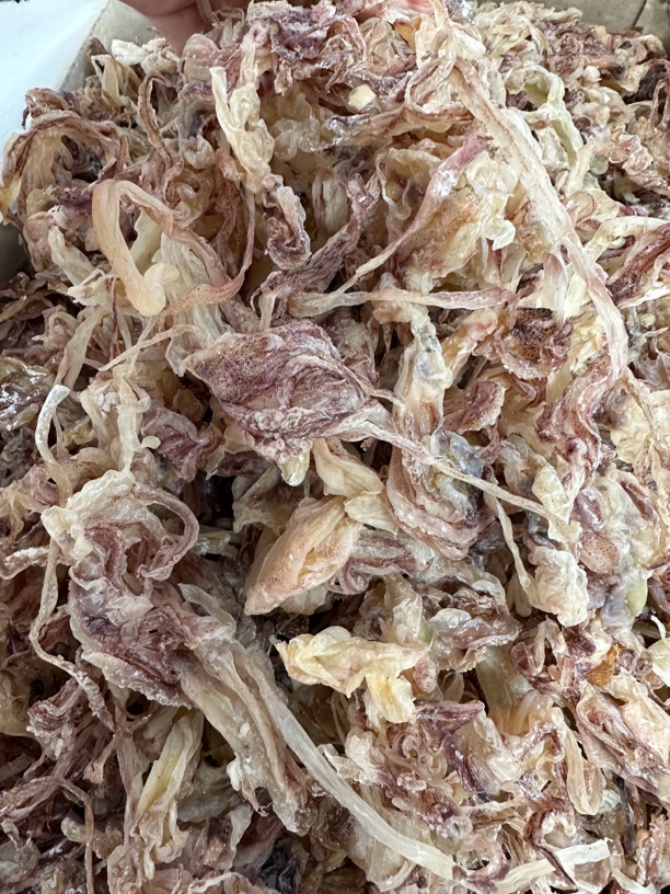 湛江淡晒鱿鱼头 炒菜煲汤吃火锅