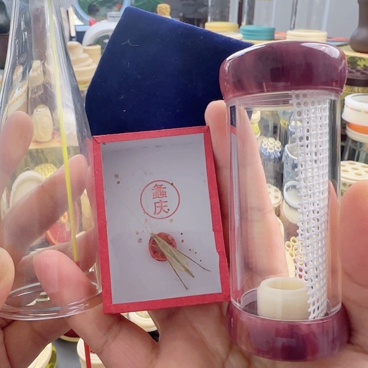 紫粉色竹蛉筒套啊啊啊啊