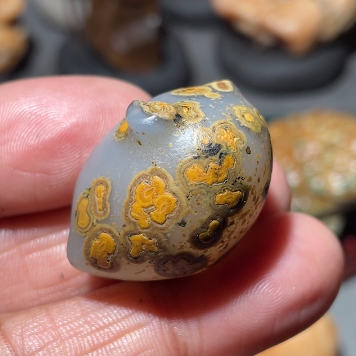 乌***馆石材阿拉善沙漠奇石