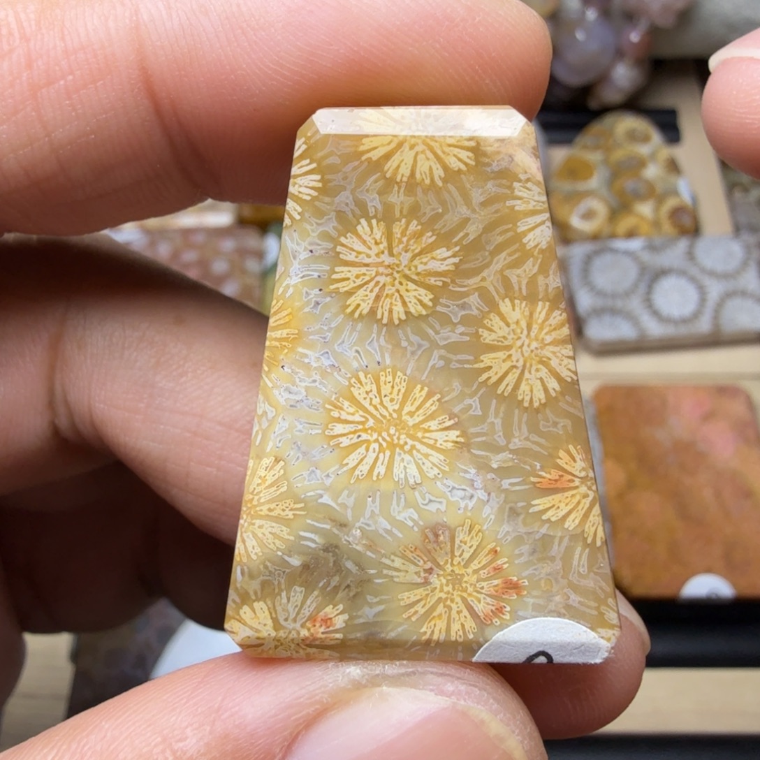 硅化玉未镶嵌天然色有机玉石保真色