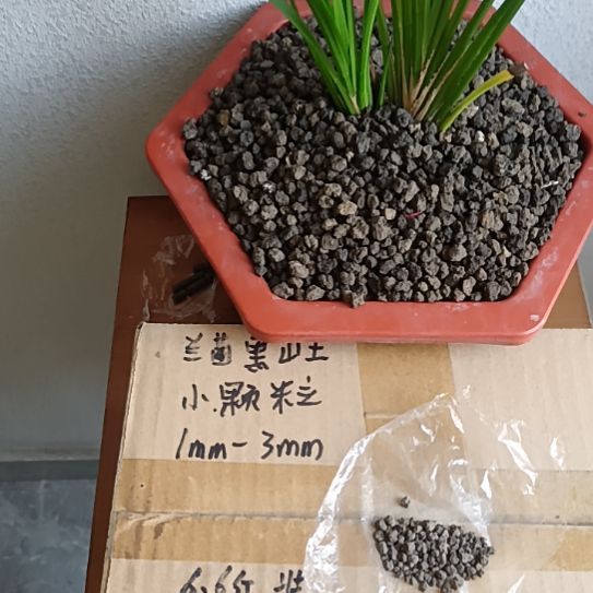 阿***末兰菌黑山土小颗粒6.6斤