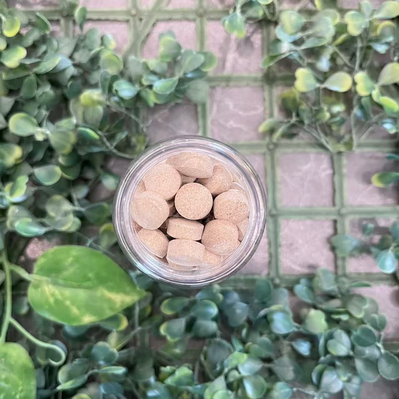 雨腾古茶 北X和“脂 S B”J华 绝S 60g/罐（12月25）