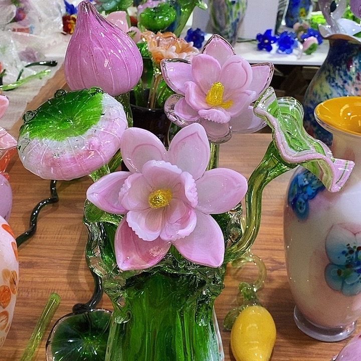 5只荷花高45厘米左右