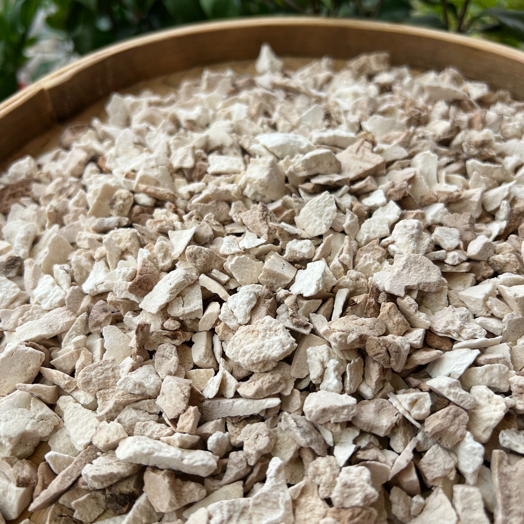 [碎茯苓]粤北山区农家深山自挖无硫手工切晒茯苓500克一袋