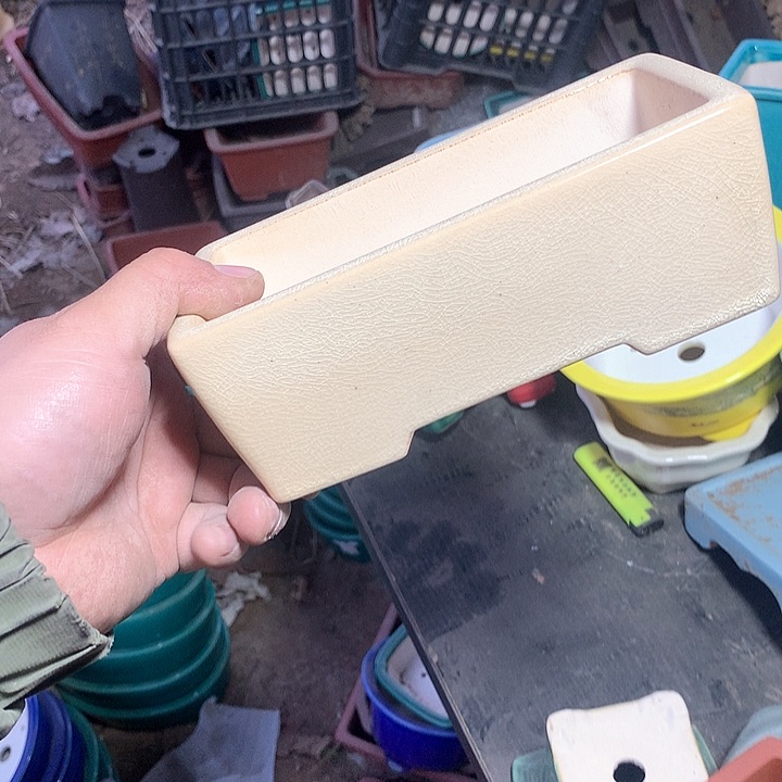 紫砂优秀青年科技学院教授一