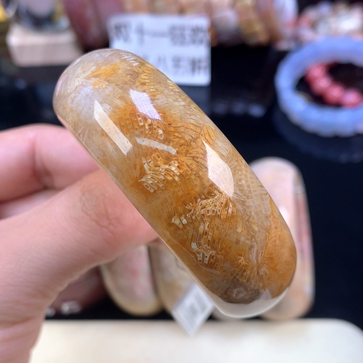 【闪购商品】颈饰未镶嵌硅化珊瑚（珊瑚玉）32号53.6圈金丝凤尾