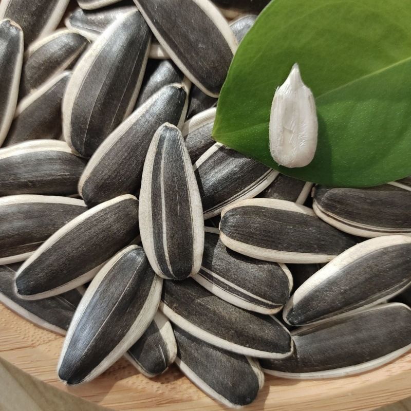 内蒙生瓜子新货新鲜葵花籽 今年新货 熟瓜子好吃不上火 零售批发
