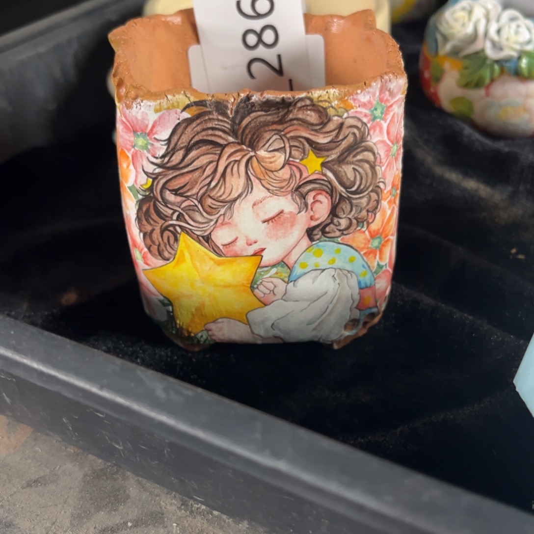 L***诗286多肉花盆180元1个