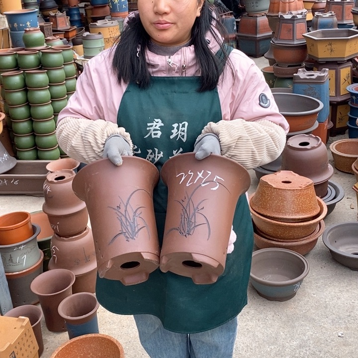 紫砂花盆盆栽花卉苗木种植
