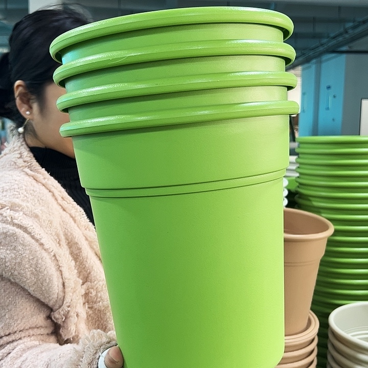 正品翻边口26高28果绿无托5只