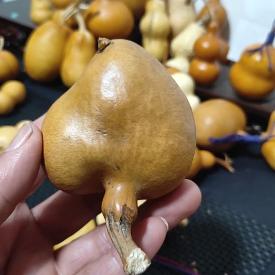 豆***川葫芦哈哈哈哈哈哈哈