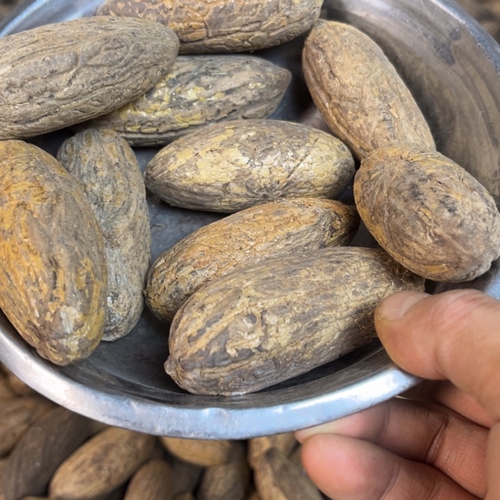 千眼菩提吊坠千眼菩提刷料胖果。十个