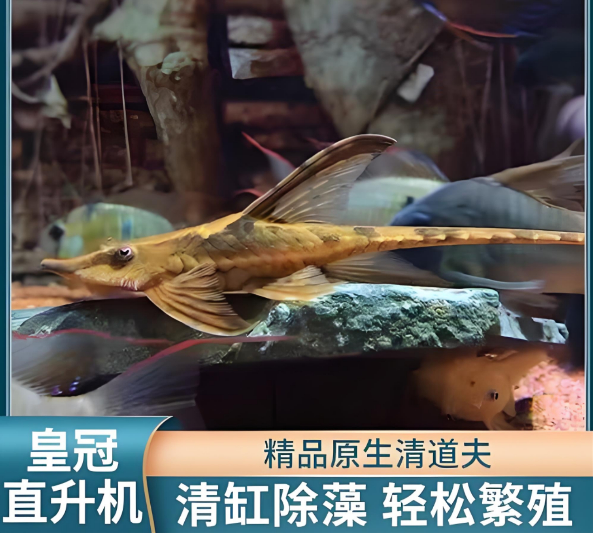 鱼缸清洁工，直升机类，实物为准