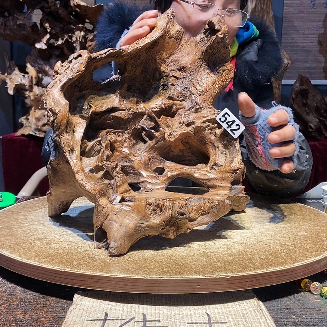 一***虫542。株木随行根艺