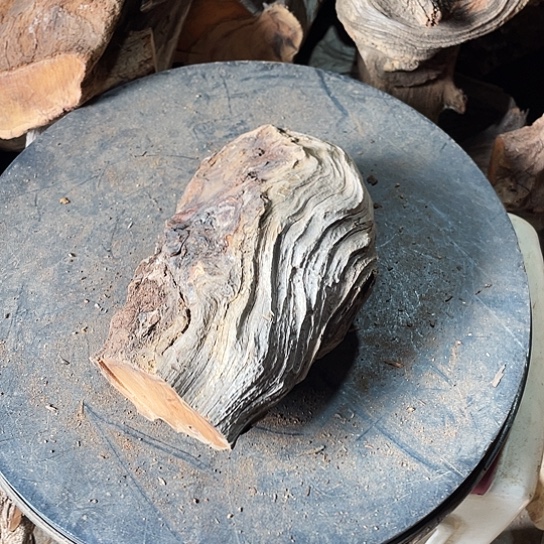 嘟***囔柏木崖柏崖柏香料