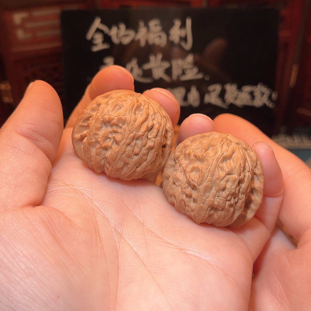 36边37肚全品白狮子……精品