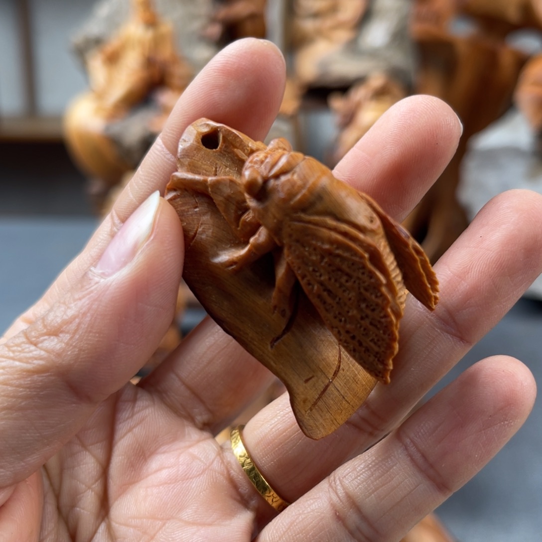 柏木（崖柏）崖柏太行山脉