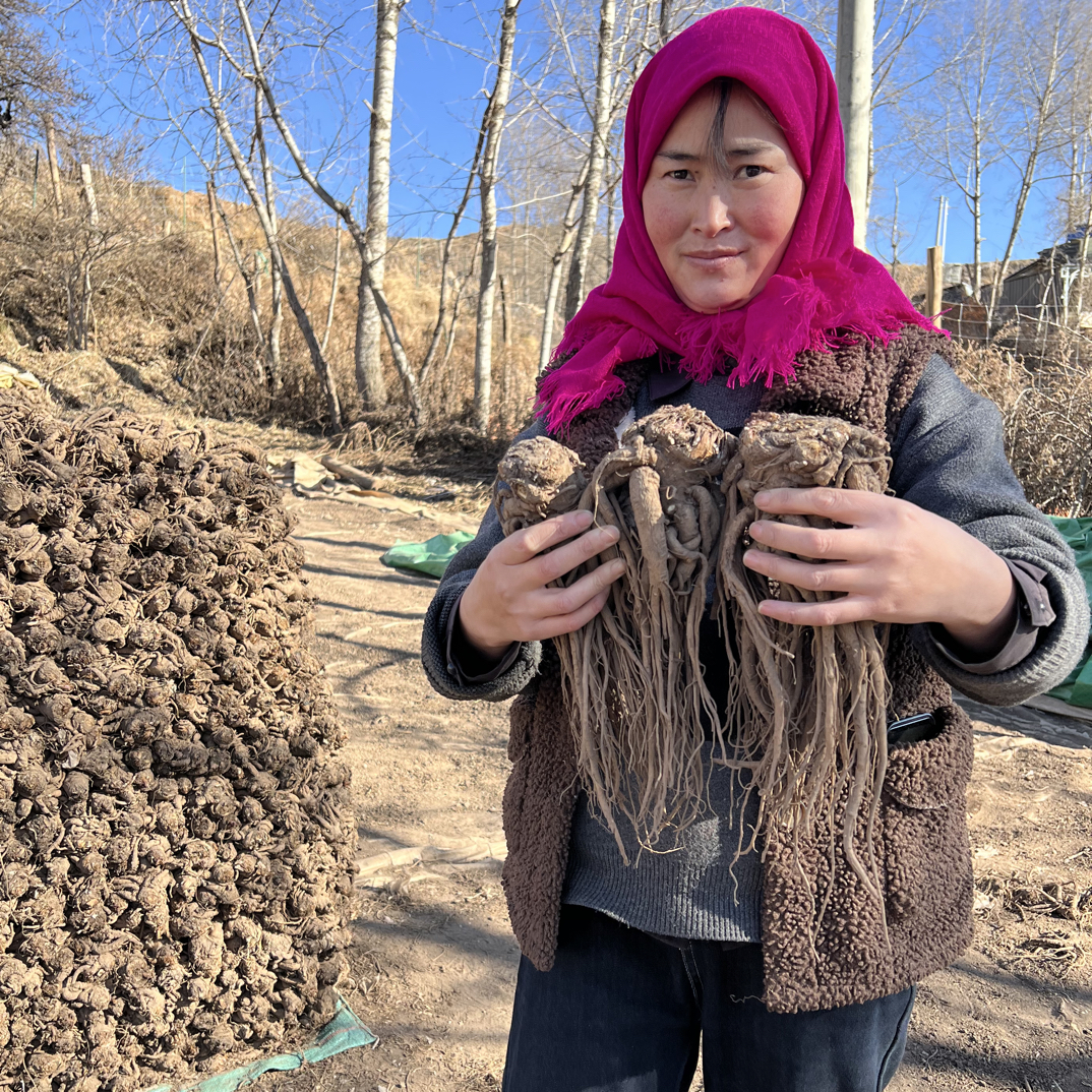 甘肃岷县当归整根自然晾晒无硫无熏煲汤泡酒滋补干货