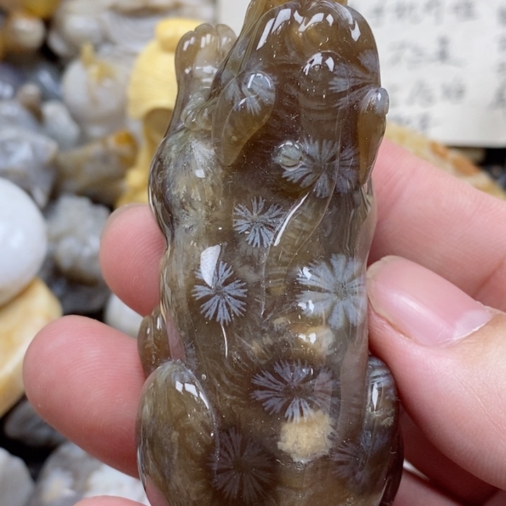 颈饰未镶嵌硅化珊瑚（珊瑚玉）