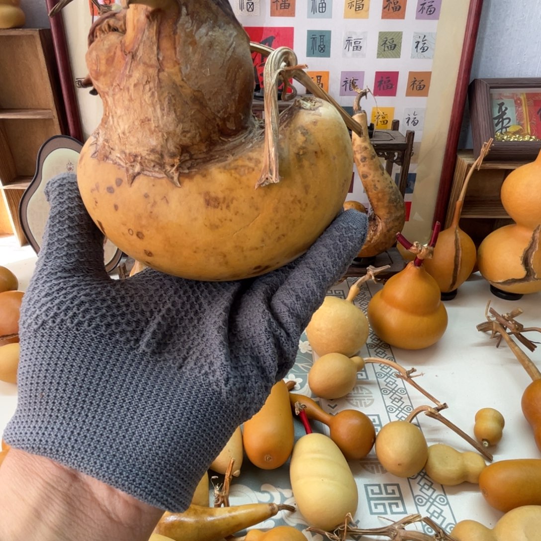 前***3葫芦葫芦葫芦葫芦