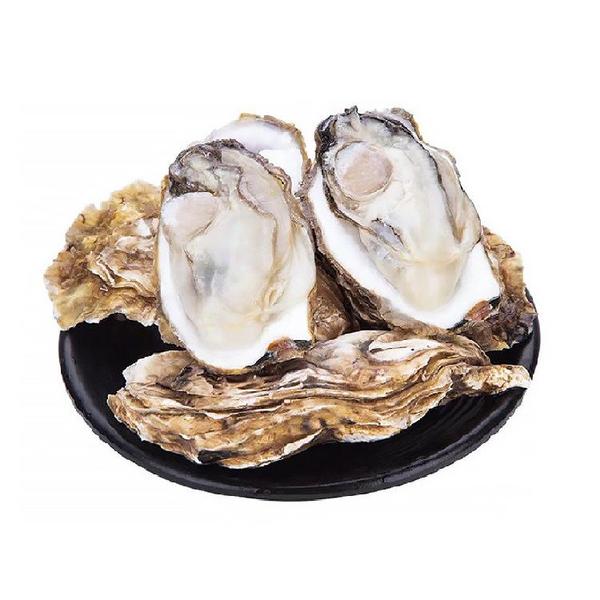 新鲜生蚝合肥发货可蒸可烤可刺身海蛎子单个200克～250克（4两左右）规格